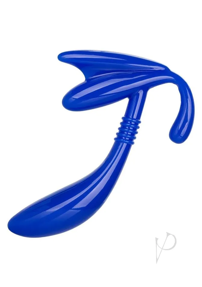 Apollo Apollo Curved Prostate Probe Blue Anal Apollo Apollo Curved Prostate Probe Blue Anal