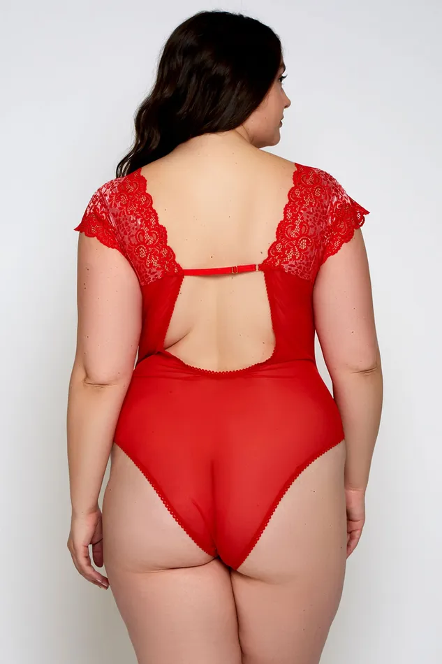 Plus Size Golyta International iCollection Natalia Plus Size Teddy