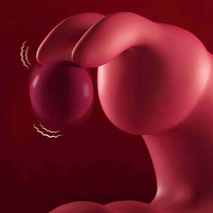 Female Sex Toys Xinghaoya Xinghaoya Sliding Rings Bunny Vibrator