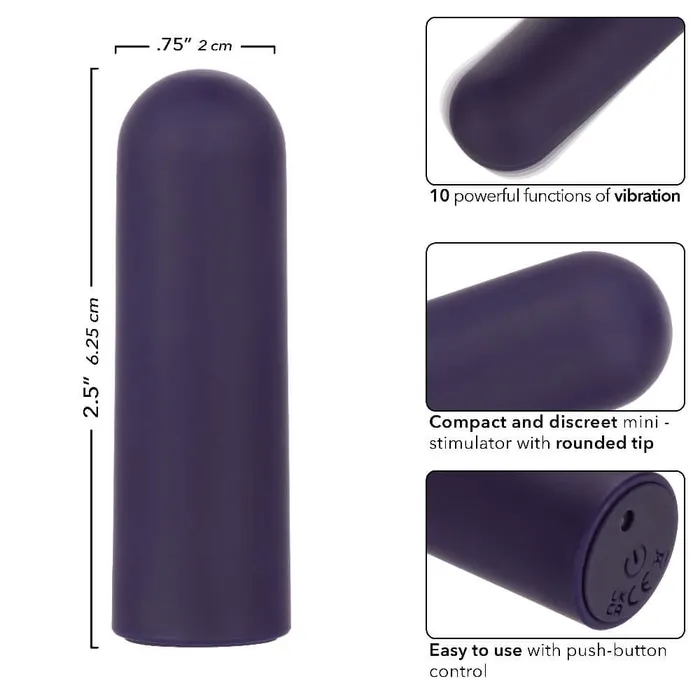 CalExotics Vibrators Turbo Buzz Rounded Mini Bullet Purple CalExotics Vibrators Turbo Buzz Rounded Mini Bullet Purple