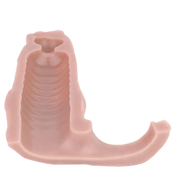 Domlust Male Sex Toys Fantasy Dogdildo Penis Sleeve Condom Realistic Animal Cocksleeve Sex Toys for Men