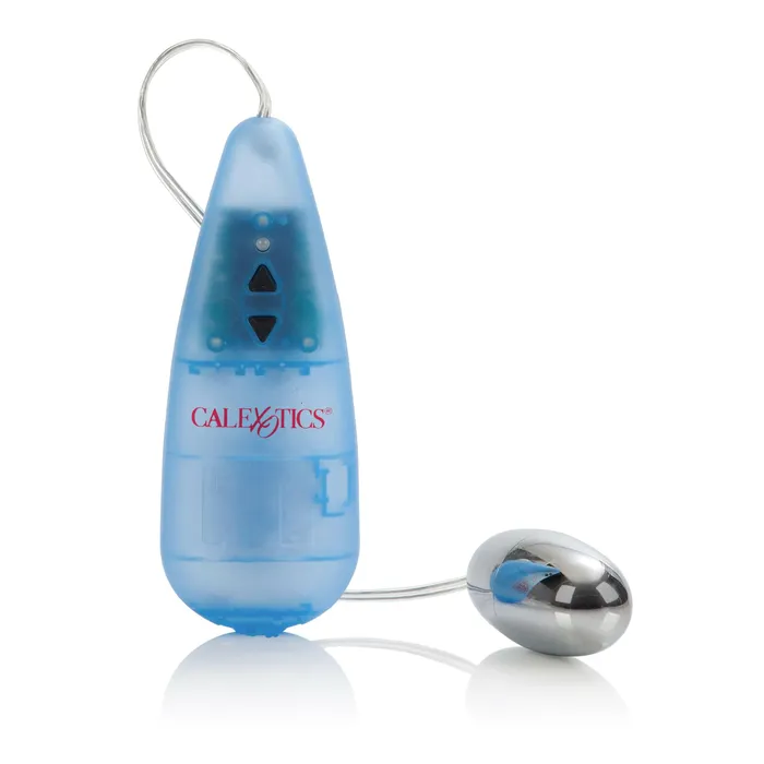 Female Sex Toys CalExotics Impulse Pocket Paks Silver Bullet