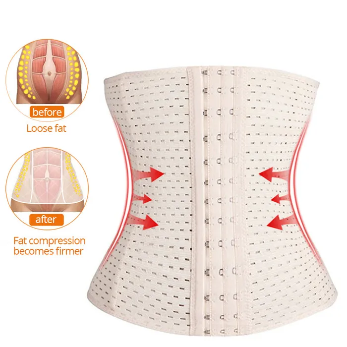 Female Sex Toys eprolo Slimming Belt Shaper body shaper