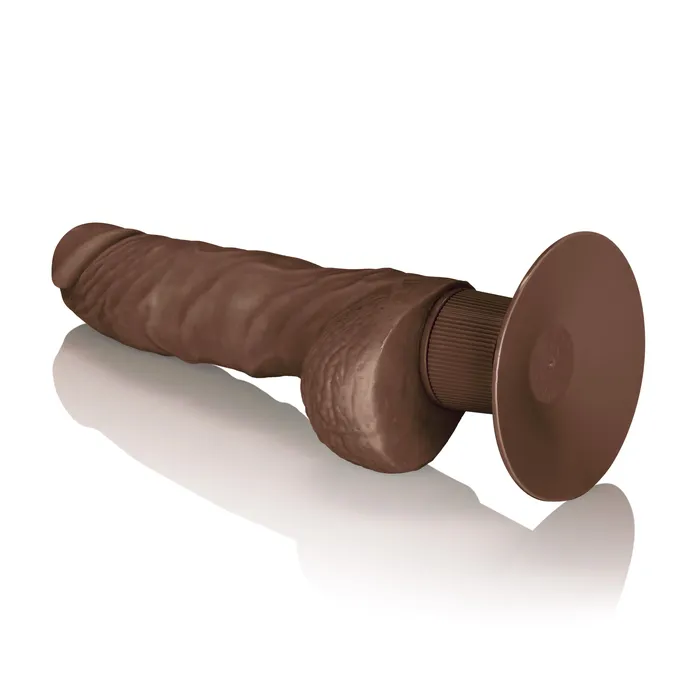 Female Sex Toys Calexotics Shower Fun Vibrator with Suction Cup and MultiSpeed Vibes
