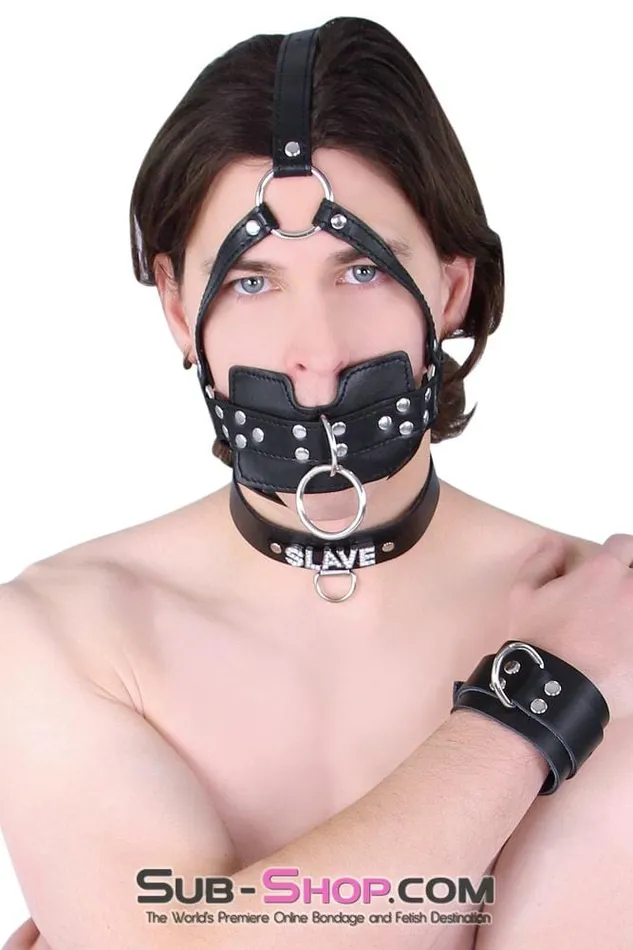 Male Sex Toys 6163M Head Trainer Panel Gag Trainer Ball Gag with Lead Ring Moonwell