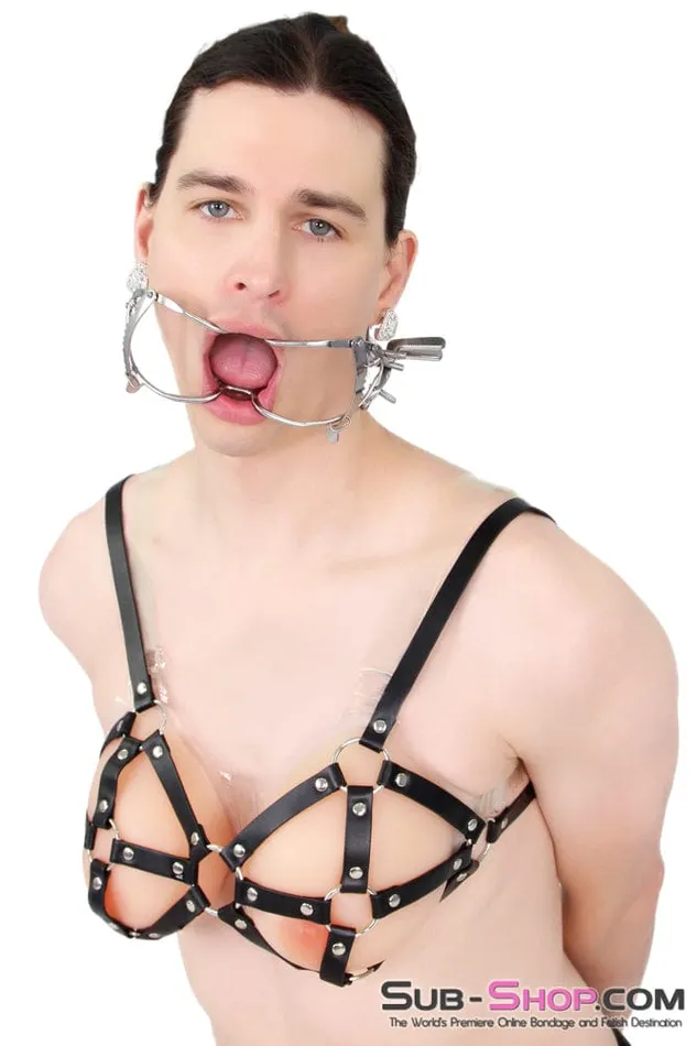 Male Sex Toys 9897RSSIS Breast Cage Sissy Bondage Bra Raysent