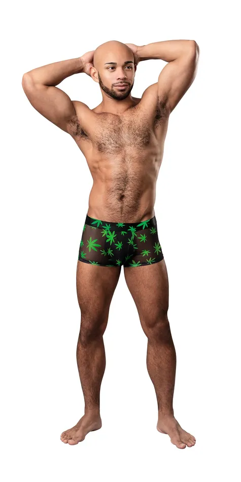 Male Sex Toys Male Power Hazy Dayz Pouch Short Small Pot Leaf