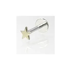 16g 516 Internally Threaded Labret with 14kt Yellow Gold Star Painful Pleasures Female Sex Toys