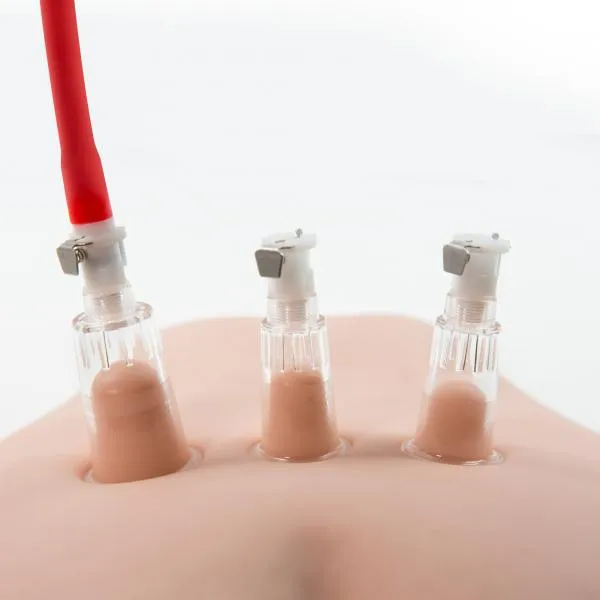 Blush Vibrators Temptasia Clitoris Pleasure and Enhancement System
