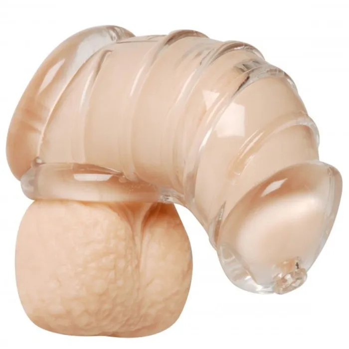 Detained Soft Body Penis Chastity Cage XR Brands Male Sex Toys