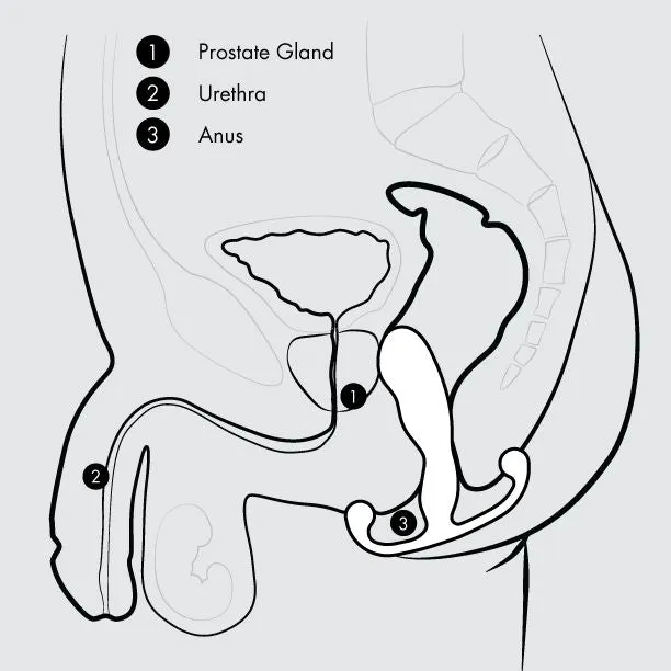Male Sex Toys Aneros Aneros MGX Trident HandsFree Prostate Stimulator