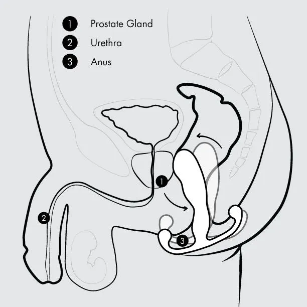 Male Sex Toys Aneros Aneros MGX Trident HandsFree Prostate Stimulator