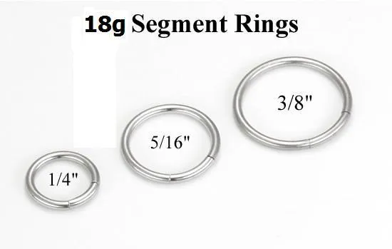 Painful Pleasures Male Sex Toys 18g Stainless Steel Segment Ring