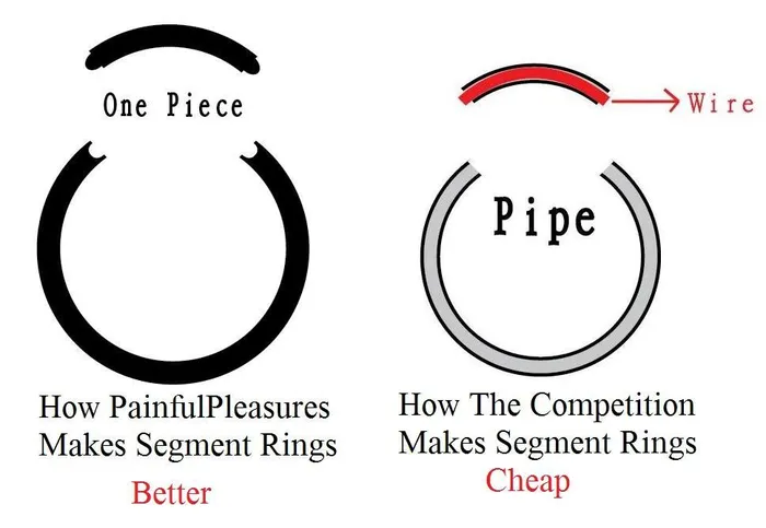Painful Pleasures Male Sex Toys 18g Stainless Steel Segment Ring