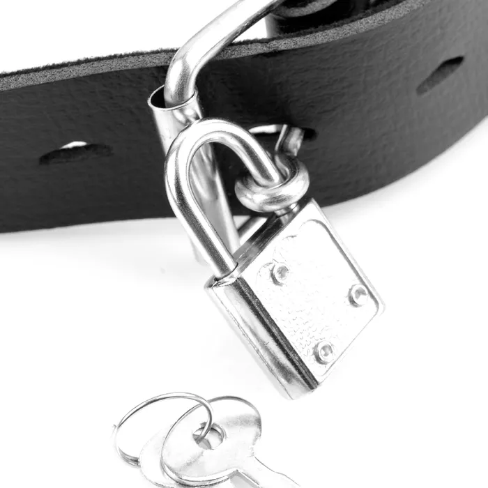 Pipedream Products Female Sex Toys Fetish Fantasy Deluxe Locking Ball Gag with Dildo