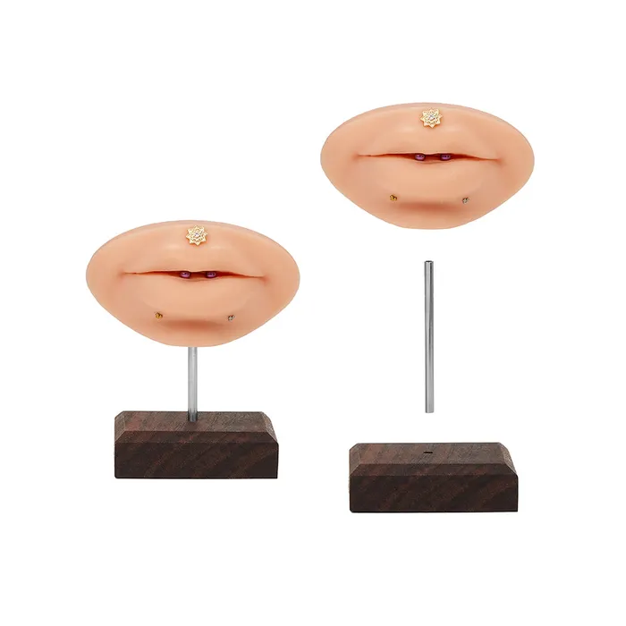 Tilum Wooden Display Stand for Body Jewelry Choose Size and Color Tilum Male Sex Toys