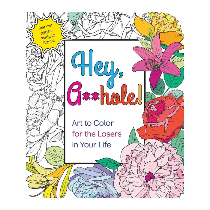 Vibrators Hey Ahole Coloring Book MPS