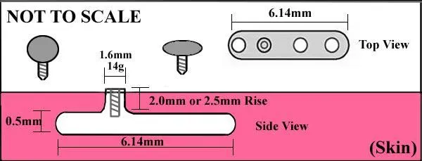 Vibrators Tilum Tilum 14g12g Internally Threaded White Gold Lavender Jewel Top Price Per 1
